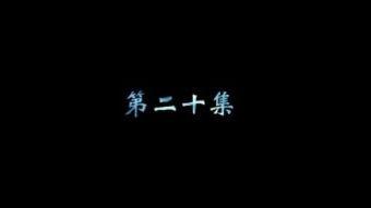 捕狼视频,揭秘捕狼行动的惊心动魄瞬间