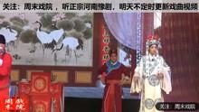 河南豫剧视频,河南豫剧魅力绽放