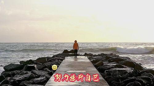 励志的小视频
