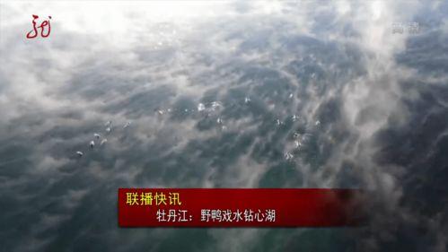 牡丹江视频,东北明珠的美丽画卷