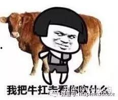 一不吹牛二不喧视频,短视频背后的真实魅力