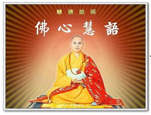 佛弟子视频,感悟修行智慧，启迪心灵成长
