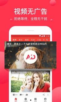 吃瓜爆料节目视频大全下载,视频大全下载攻略