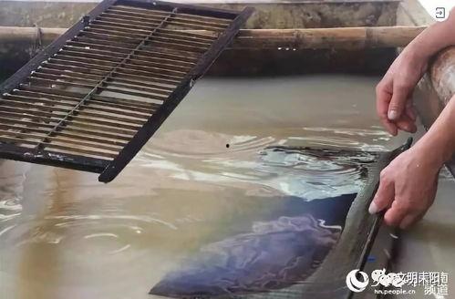 造纸视频,从视频看传统与现代造纸技术的融合