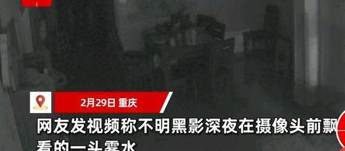 黑影视频,神秘事件背后的真相揭晓