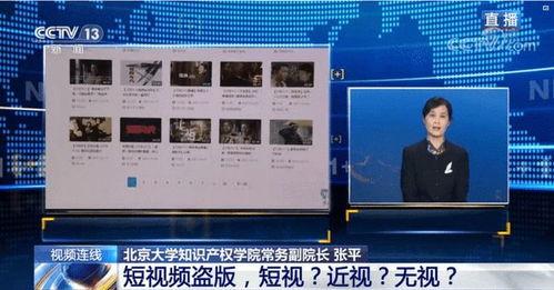 五分钟视频,视频内容精华概览