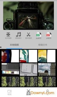 视频4,揭秘XX领域的创新突破与未来趋势