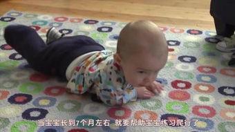 爬行视频,探秘爬行动物世界
