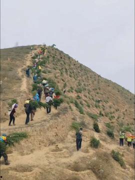 黄土高坡视频,探寻中国古老文明的壮美画卷