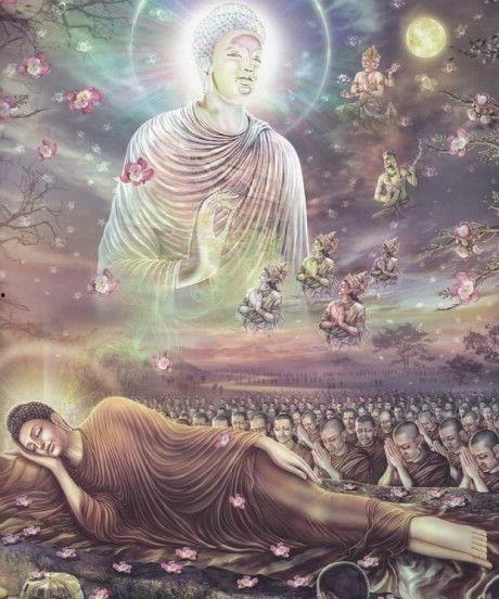 佛陀视频,视频中的启示与感悟
