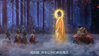佛陀视频,视频中的启示与感悟