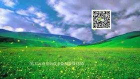 藏族独舞视频,藏族独舞演绎民族风情