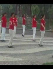广场舞视频教学大全,轻松入门，舞动健康生活