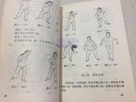 气功十二法教学视频,视频教学精华概览