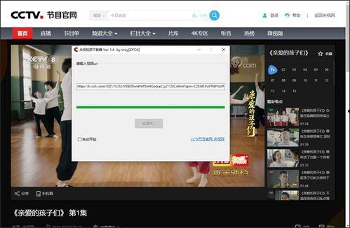 能下载视频的软件,下载视频利器，轻松获取海量影视资源