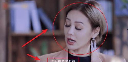 宁静视频,探寻心灵深处的静谧之美