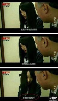 极乱家族在线视频,揭秘疯狂家族的疯狂日常