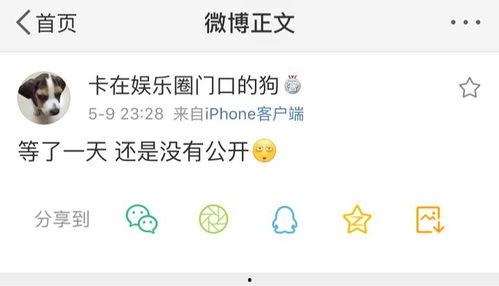 惊人吃瓜爆料,娱乐圈背后的惊人真相