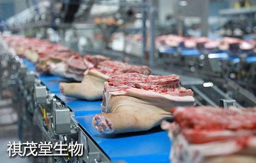 今日瓜州猪肉价,今日行情一览