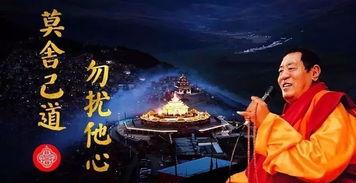 密宗视频,视频带你领略古老修行智慧