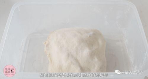 面粉发酵视频,视频教学与技巧分享