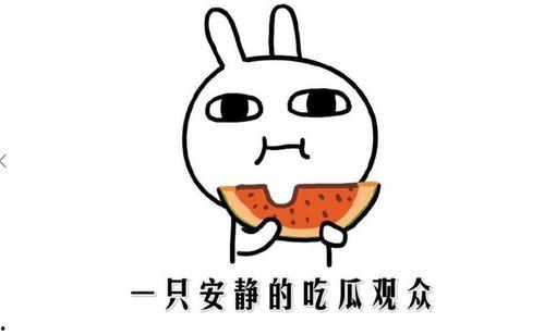 小逗逗吃瓜黑料,揭秘娱乐圈背后的真相
