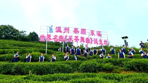 采茶舞曲视频,青春旋律——探秘采茶舞曲魅力
