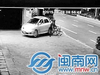 倒车事故视频,惊险瞬间与教训反思