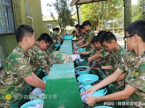 夏令营视频,青春活力，梦想起航