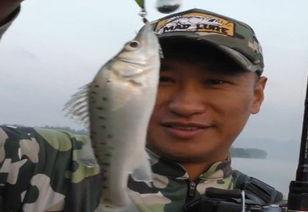 路亚鲈鱼视频,视频教学带你畅游鱼塘