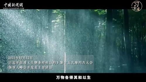 万物生视频,探寻生命之源的视觉奇旅