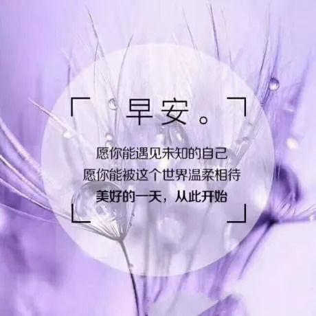坚持励志视频,励志视频中的力量与信念