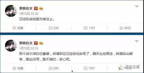 黄色网站视频播放,内容解析与警示