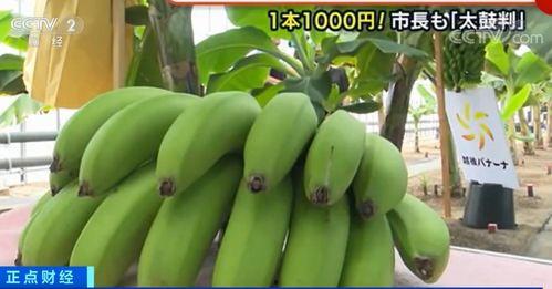 大香蕉最新视频,揭秘神秘剧情，带你领略视觉盛宴
