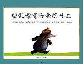是谁嗯嗯在我的头上视频,揭秘网络热门视频背后的故事