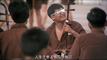 友谊之光视频,见证真挚情谊的温暖瞬间