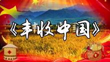 扭秧歌舞蹈视频,扭秧歌舞蹈视频赏析