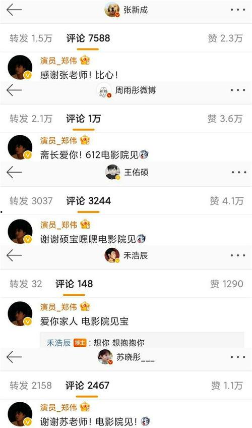 郑伟视频,揭秘成功背后的故事与智慧