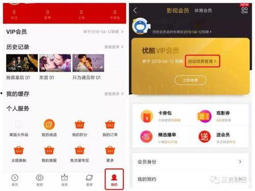 视频会员网站,海量内容尽在掌握，畅享影视盛宴