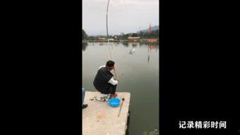 江钓视频