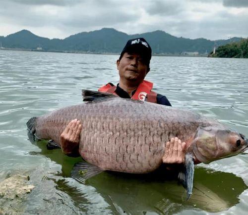 江钓视频