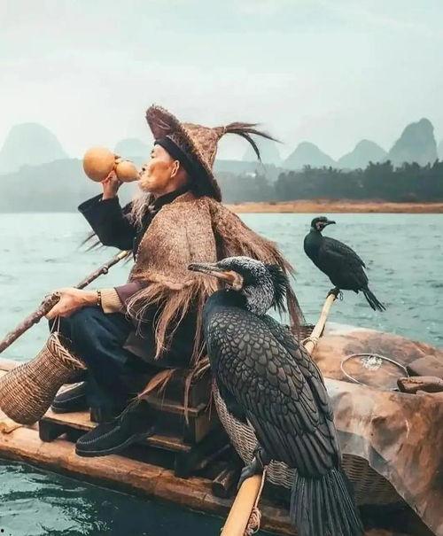 江钓视频