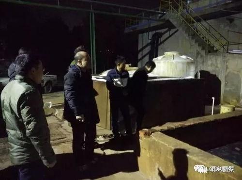 零点绳艺视频,解锁束缚的艺术与自由