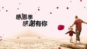 感恩视频,视频中的感人故事