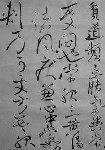 草书教学视频,跟随教学视频轻松掌握书法艺术