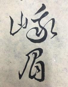 草书教学视频,跟随教学视频轻松掌握书法艺术