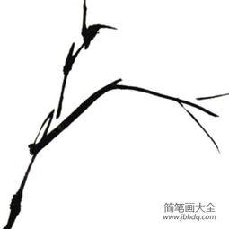 竹子怎么画视频,从零开始学画竹子