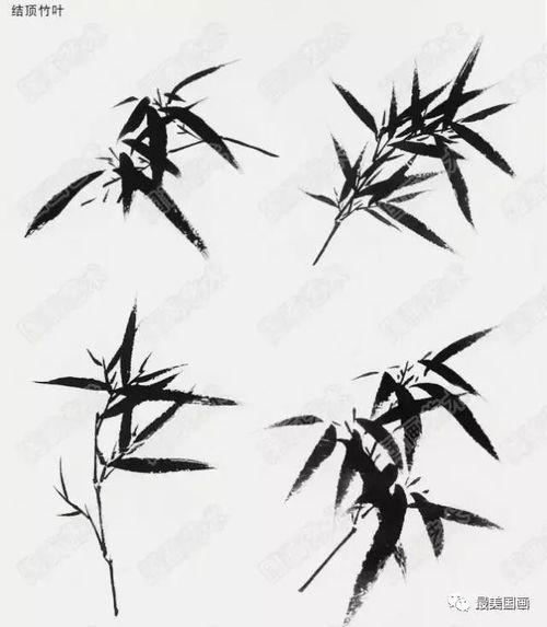 竹子怎么画视频,从零开始学画竹子