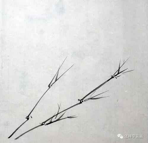 竹子怎么画视频,从零开始学画竹子