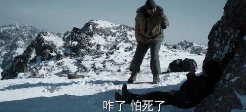 鹞子出猎视频,空中猎手的捕猎瞬间